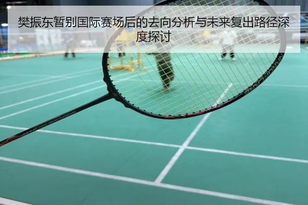 樊振东暂别国际赛场后的去向分析与未来复出路径深度探讨